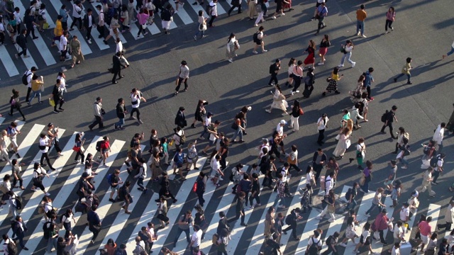 日本东京涩谷十字路口的行人俯视图