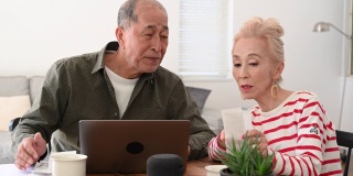 日本一对老年夫妇在笔记本电脑上处理家庭财务