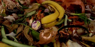 有机厨房垃圾与各种剩菜混合堆肥。