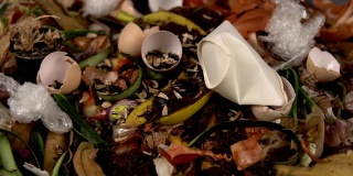 有机厨房垃圾与各种剩菜混合堆肥。