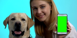 快乐的狗主人展示智能手机绿色屏幕，可爱的宠物看着摄像头，应用程序