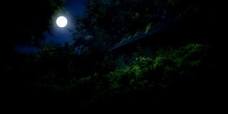 在夜晚的月光下，在夏天的林中空地上，废弃的仙女小屋