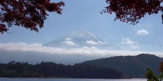 美丽的富士山与枫树在秋天的日本