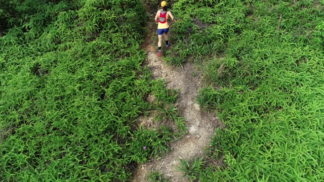鸟瞰图的妇女徒步旅行者徒步热带森林