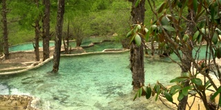 淘景:中国四川黄龙谷景观森林中的五色池