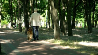 视障人士带着导盲犬在公园散步，牵着安全带感觉安全视频素材模板下载