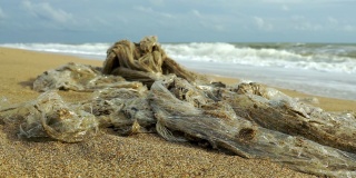 塑料污染玻璃纸被冲上海滩