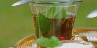 托盘摩洛哥茶被提供在斯堪的纳维亚花园