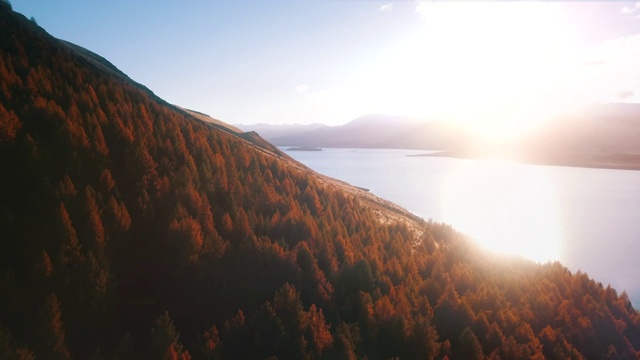 特卡波湖鸟瞰图