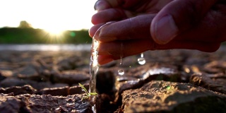 用我们的双手把贫瘠的土地上的水减少成小树