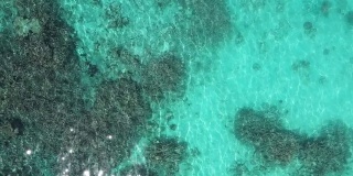 鸟瞰马尔代夫珊瑚礁航拍影像