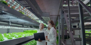 在种植园工作的农业工程师。四个现代科学家的全长肖像研究蔬菜在温室的农业。