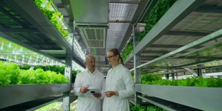 一男一女穿着白大褂在未来的现代实验室里种植沙拉和蔬菜