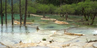 淘景:黄龙谷风景区的天然五色池，中国四川