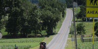 阿米什的马和马车沿着道路行驶