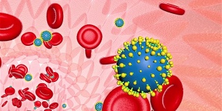 红细胞和HIV病毒在静脉中流动，3D渲染