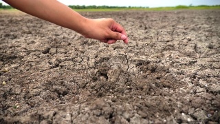场景推车慢镜头，在气候变化的干旱灾害中，用手浇地干燥开裂的土地，拯救世界的全球变暖视频素材模板下载