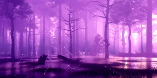 神秘的萤火虫灯在沼泽夜森林