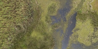 美国路易斯安那州Grand Chenier附近的LA-82公路“克里奥尔自然小径”旁的无尽湿地沼泽。俯视上方的无人机视频镜头与上升和旋转的摄像机运动。