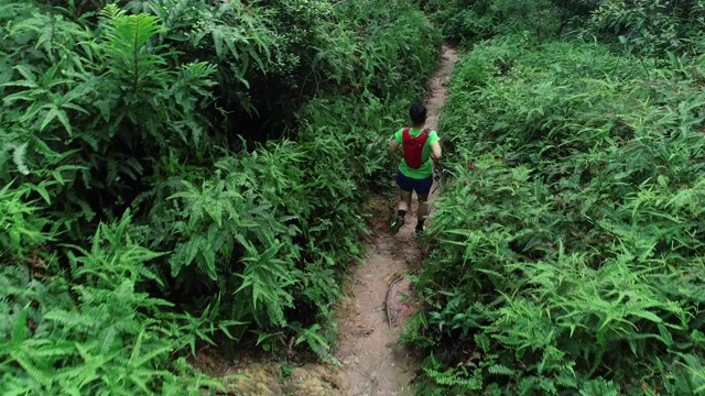 航拍的女子超级马拉松运动员在热带雨林中奔跑