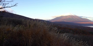 美丽的富士山与枫树在秋天的日本