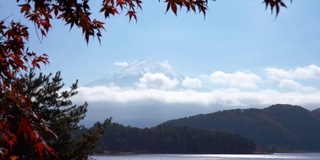 美丽的富士山与枫树在秋天的日本