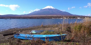 美丽的富士山与枫树在秋天的日本