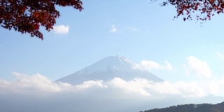 美丽的富士山与枫树在秋天的日本