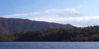 美丽的富士山与枫树在秋天的日本