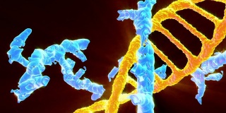 蓝色到橙色的DNA双站代表进化或突变，3D渲染