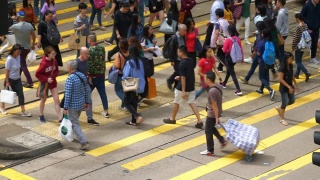 晴天香港市区著名的交通街道拥挤人行横道全景4k视频素材模板下载