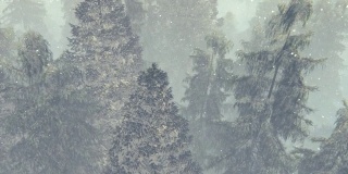 在暴风雪中飞过浓雾弥漫的松林