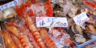 日本鱼市海产品零售展示。