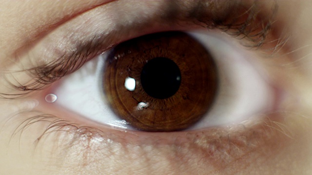 这是人类棕色眼睛的特写