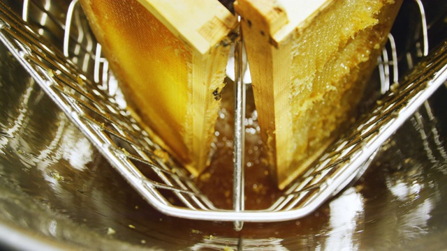 采蜜机旋转蜂巢，利用离心力将蜂蜜从蜂房中取出