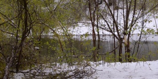 池塘里，绿树成荫，池塘的岸边覆盖着白雪。异常的性质