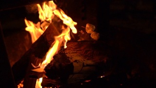慢镜头棉花糖在火上烤给露营者吃视频素材模板下载