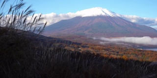 美丽的富士山与枫树在秋天的日本