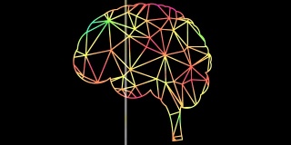 彩色动画人脑扫描