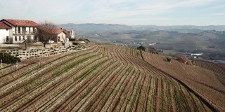 意大利阿尔巴的农场、葡萄园