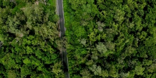 途经热带常绿森林或热带雨林，鸟瞰空旷的常绿森林中的道路