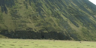 绿色的路边景观一览冰岛公路之旅