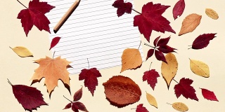 铅笔在一张横线纸上滚动着，停了下来。米色背景与多彩的秋叶。明亮的阳光和坚硬的阴影。重返校园的概念