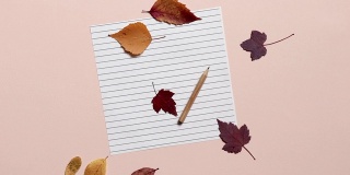 粉红色背景的铅笔空白纸。多彩的秋叶飘落在书页上。重返校园的概念