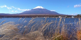 美丽的富士山与枫树在秋天的日本