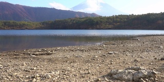 美丽的富士山与枫树在秋天的日本