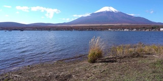 美丽的富士山与枫树在秋天的日本