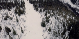 冬季景观滑雪鸟瞰图在白色的斜坡