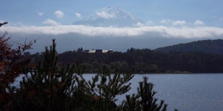 美丽的富士山与枫树在秋天的日本