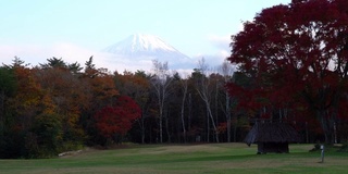 美丽的富士山与枫树在秋天的日本